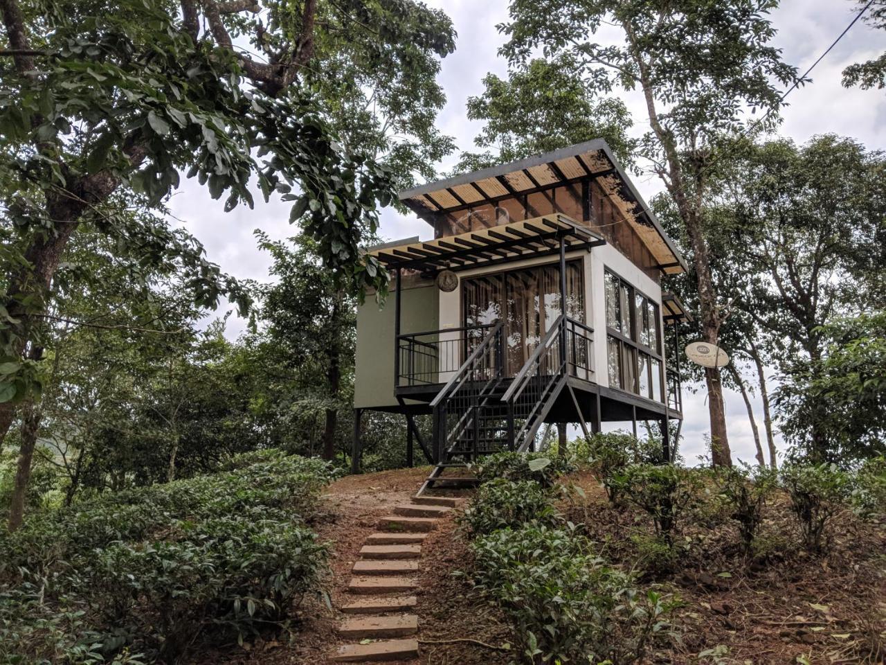 Chateau Woods Kalpetta Exterior foto